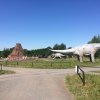 img_7324