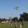img_8219