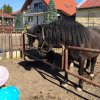 img_6600