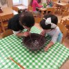 img_8691