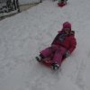 img_9487