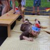 img_6552
