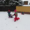 img_3444