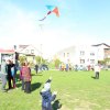 img_7155