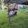 img_5961