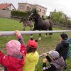 img_8081