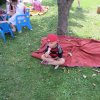 img_8823