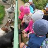 img_6052