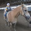 img_6072