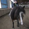 img_6076