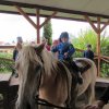 img_6139