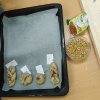 img-20191029-wa0030