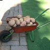 img-20191014-wa0014
