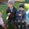 img_0052
