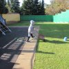 img_9169