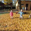img_0105