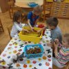 img_20191218_075537