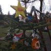 img_20191212_112011