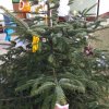img_20191212_112026