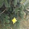 img_20191212_112036