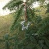 img_20191212_112040