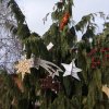 img_20191212_112123