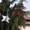 img_20191212_112158