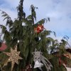 img_20191212_112205