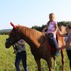 img_0805