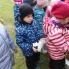 img_1369