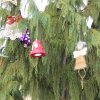 img_1373