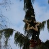 img_1376