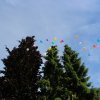 img_3088