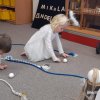 img-20211209-wa0047