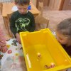 img-20211220-wa0045