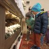 img_20220420_102611
