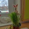 img_20220413_132240