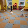img_20221024_081401