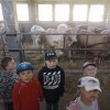 img_20230531_091251