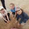 img_20230531_092228