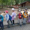 img_20230612_092236