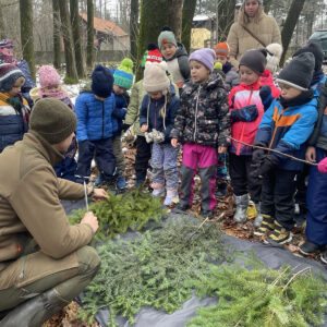 Putování za vánočním stromečkem