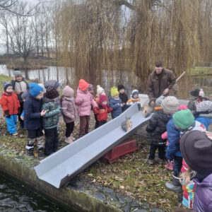 Vánoční kapříci u Vaňků